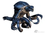 Orga