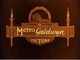 Metro-goldwyn-lion-logo