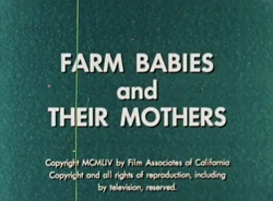 Farm babies