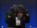 High Rollers, the Dice Throwing Monkey 5