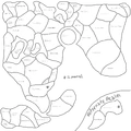 Map.png