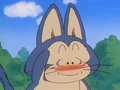 Puar embarrassed