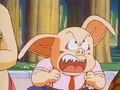 Oolong is angry