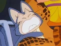 Puar is scared