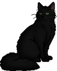 Hollyleaf.warrior