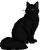 Hollyleaf.warrior