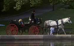 Carriagedriver