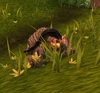 WyrmhornTurtle
