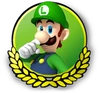 MK3DS Luigi icon