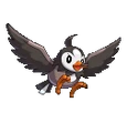 Starly Conquest.png