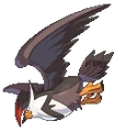 Staraptor Conquest.png