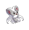 Cinccino Conquest.png