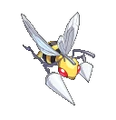 Beedrill Conquest.png