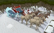 Reindeer