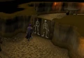 Shilo village - skeleton door.png