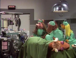 211 vets hospital
