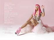 Pink Friday booklet2