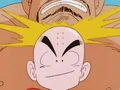 Krillin wins