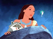 Pocahontas, Meeko and Flit