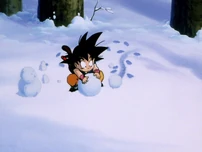 Snowball