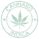 1942614-816962-cannabis-indica-stamp-isolated-on-white-background-abstract-vector-art-illustration