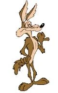 Coyote