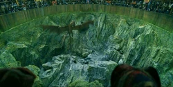 DragonEnclosure