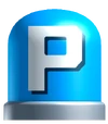 P-Switch NSMB2