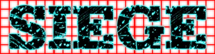 SIEGE copy 1