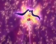 Musa Enchantix