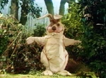 Totem bunny 01