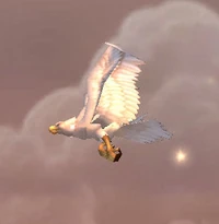 GreatWhitePlainshawk