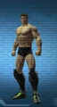 FeetSectorAgent