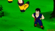 Videl vuelo 2