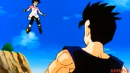 Videl vuelo 3