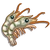 Prawns-icon