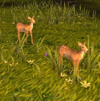 TawnyhideFawn