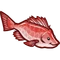 Red Snapper-icon