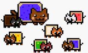 Wiki's Kittens