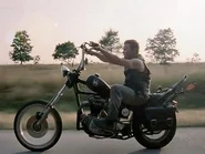 Daryl's motorcycle