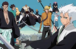 Vizard and Gotei13 protects Ichigo