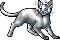 Furzepelt.apprentice