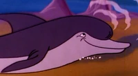 Bottle-NoseDolphin