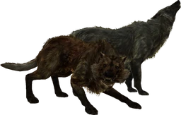 TESV Wolves
