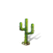Cactus04