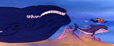 Baleen whale