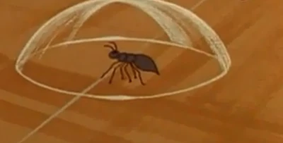 Fire ant