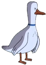 Mr. Goose