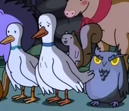 Mr Duck and Boobafina 2