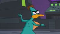 Doofapus Challenging Perry.jpg
